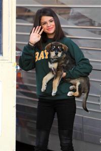 Selena Gomez puppy Baylor